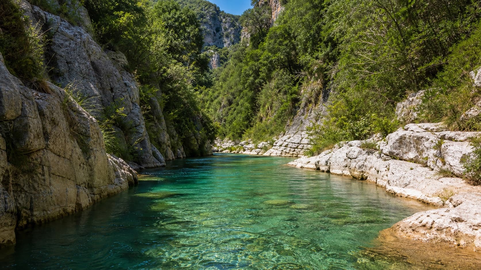 Gola rocciosa attraversata da acqua limpida nel Cilento